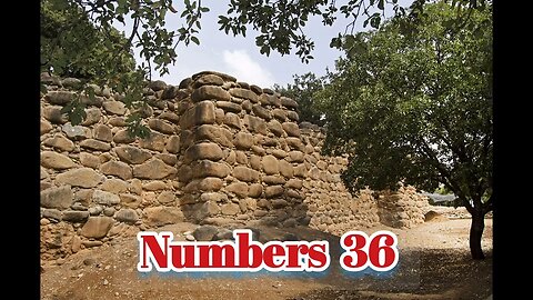 Numbers 36
