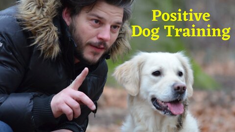 🐕 Dog Training Program – NEW! Positive Dog Training Instructional video