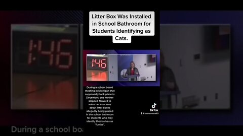Litter Box Was Installed in School Bathroom for Students Identifying as Cats. #shorts