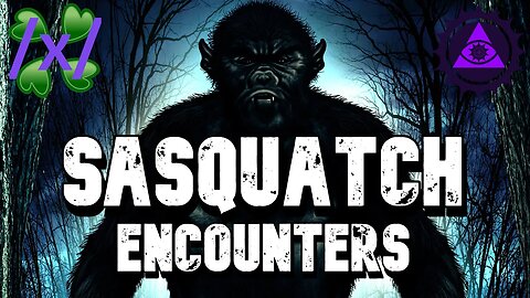 Sasquatch Encounters | 4chan /x/ Bigfoot Greentext Stories Thread