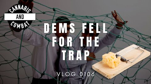 DEMS FELL FOR THE TRAP | VLOG 0106