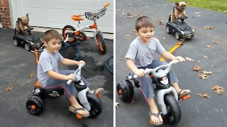 Yorkie Gracefully Rides Toy Car While Towed By Kid On Bike