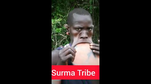 Surma tribe women lip plate Omo Valley Ethiopia
