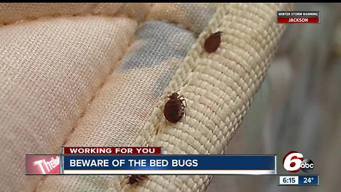 Indy one of the worst 15 cities for bed bug infestations