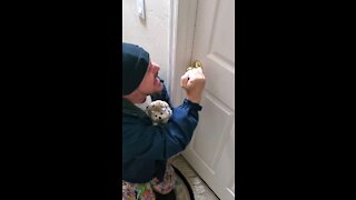 Why Did You Lock The Door?