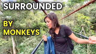 Monkeyland in the GARDEN ROUTE Plettenberg Bay CAPE TOWN | South Africa