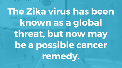Zika Virus May Be New Treatment For Cancer
