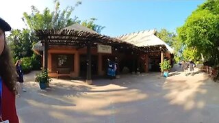 Discovery Cove in 360°