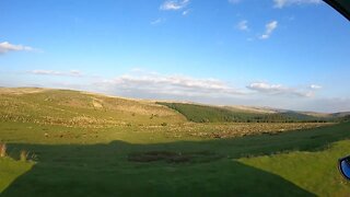 Evening driving in Dartmoor. 25th May 2023