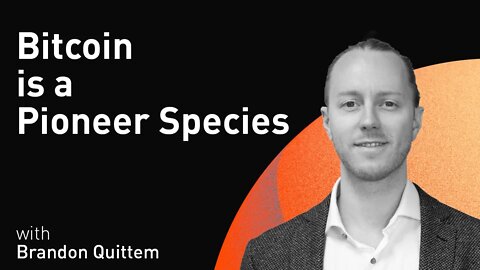 Bitcoin is a Pioneer Species with Brandon Quittem (WiM161)