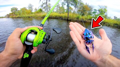 Fishing w/ The CRAZIEST Lure! (Does It Work?)