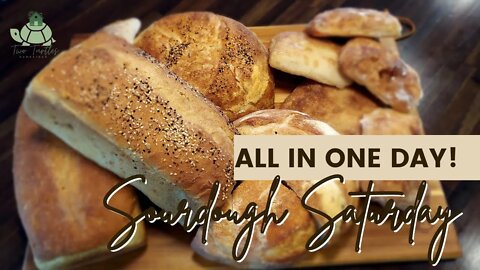 I'll Show You How To Make A Month's Worth of Sourdough Bread In ONLY ONE DAY!