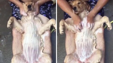 Dog Enjoying the Bath 🤣😂