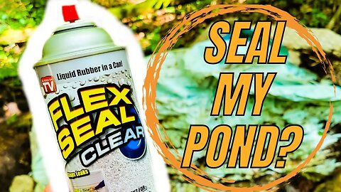 Flex Seal Fix My Pond??? #flexseal #whoteewho