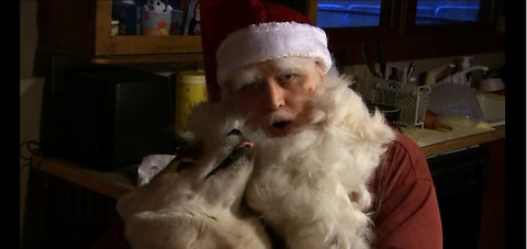 Husky Fur Used to Make Santa Beard