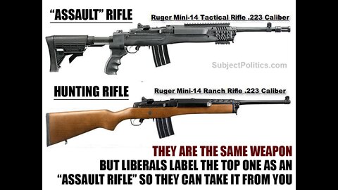 Assault Weapon Ban