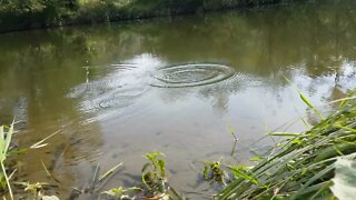 Fishing by the River ASMR, Relaxing, Nature Sounds, no talking