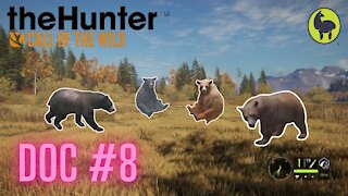 The Hunter: Call of the Wild, Doc #8