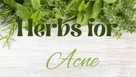 Our 3 Favorite Medicinal Herbs For Acne