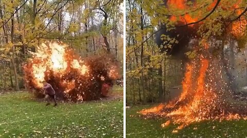 Insane slow-motion footage of leaves catching on fire