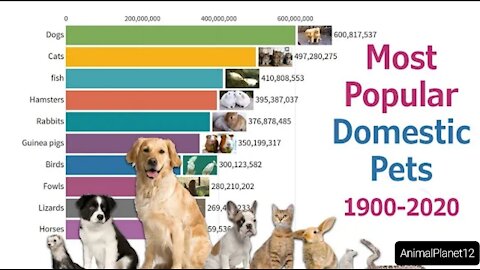 Most Popular Pets In The World (1960-2020) | AnimalPlanet12 | (1080P_HD).MP4