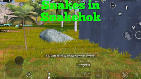 Playing in Snakehok - PubG Mobile