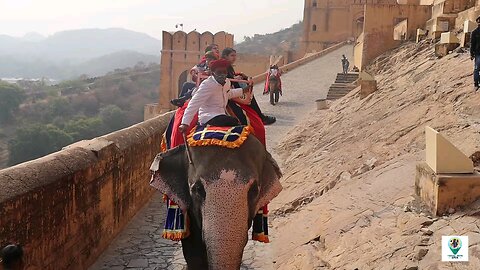 Ameer Fort and movie locations |Jaipur- Rajasthan| Rajasthan Trip|Day-3| Telugu Travel stories