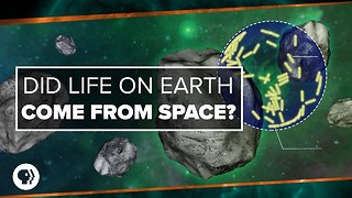 Did Life on Earth Come from Space?