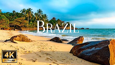 Discover Brazil: Dazzle and Delight in Paradise | Nature Documentary | Animals planet