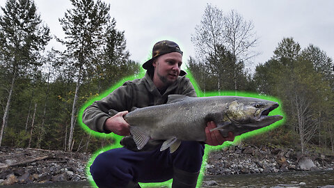 MONSTER CHINOOK on the VEDDER RIVER (Twitch Jigs and Spinners)