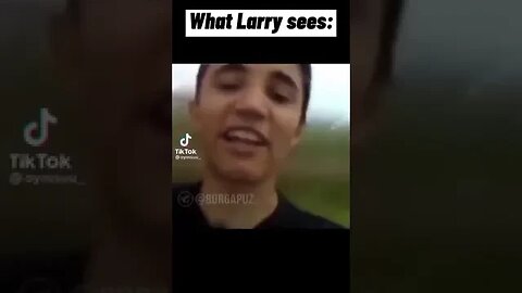 WHAT WE SEE VS WHAT LARRY SEES CLASH ROYALE #Shorts #shorts