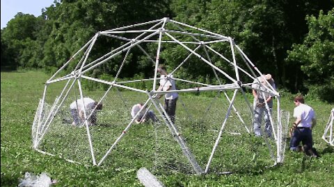 Building a Geodesic Chicken Coop for Pastured Poultry