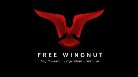 Free Wingnut Preview!