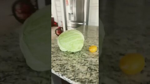 Cabbage head as big as a baby