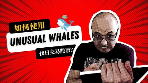 🔭如何使用Unusual Whales找到日交易股票 | unusual whales扫描期权大单| Unusual Whales使用心得