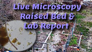 Live Microscopy, Raised Bed in Spring with Lab Soil Report!