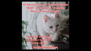 25 Second Short Of Best Meditation Music | Piano Music | Relaxing Music | Piano Cat Part 4 #shorts