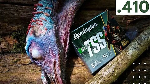 Remington .410 Premier TSS vs Turkey 🦃🦃🦃