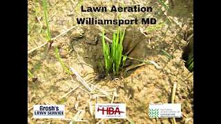Lawn Aeration Williamsport MD Lawn Care Service