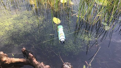Cans of bug spray found in Boca Raton pond, neighbors want answers