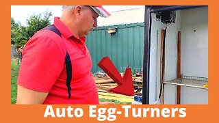 Incubator For Chicken Eggs Automatic Egg Turner Controls