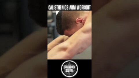 Calisthenics Arm Workout!