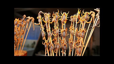 Chinese Street Food - Live Scorpions, Insects, Tiger Claws China