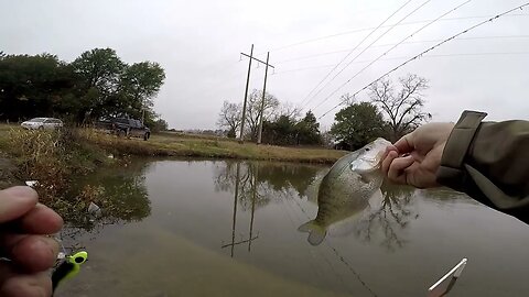 Bank fishing for crappie on city lake, trying to use live scope. bank crappie fishing.