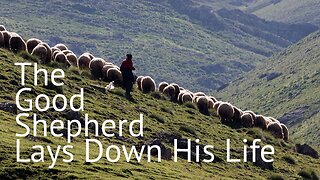 The Good Shepherd Lays Down His Life - John 10:11-18 - April 21, 2024