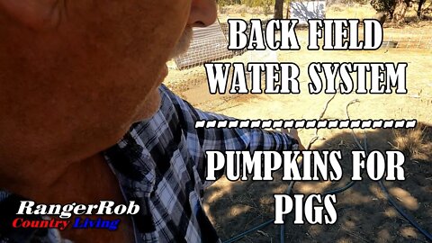 Back Field Water System & Pigs Get Pumpkins