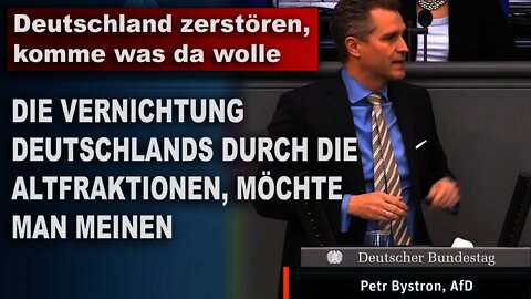 Deutschland zerstören komme was da wolle Petr Bystron AfD