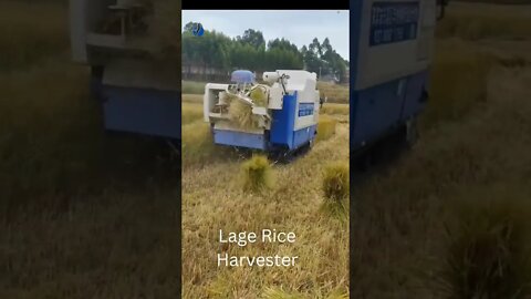 Lage Rice Harvester - Ambition World