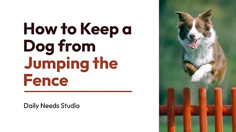 How to Keep a Dog from Jumping the Fence - Daily Needs Studio