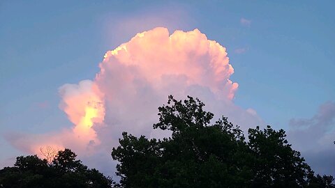 Luna underneath a jellyfish cloud.